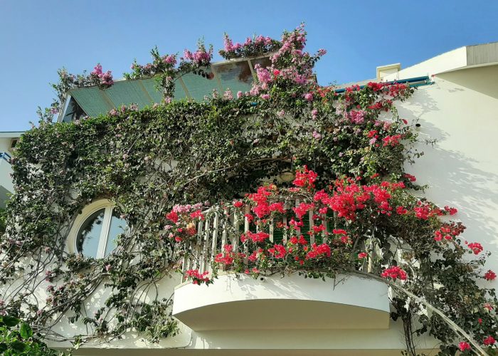 beach house for rent in sal, santa maria, cape verde